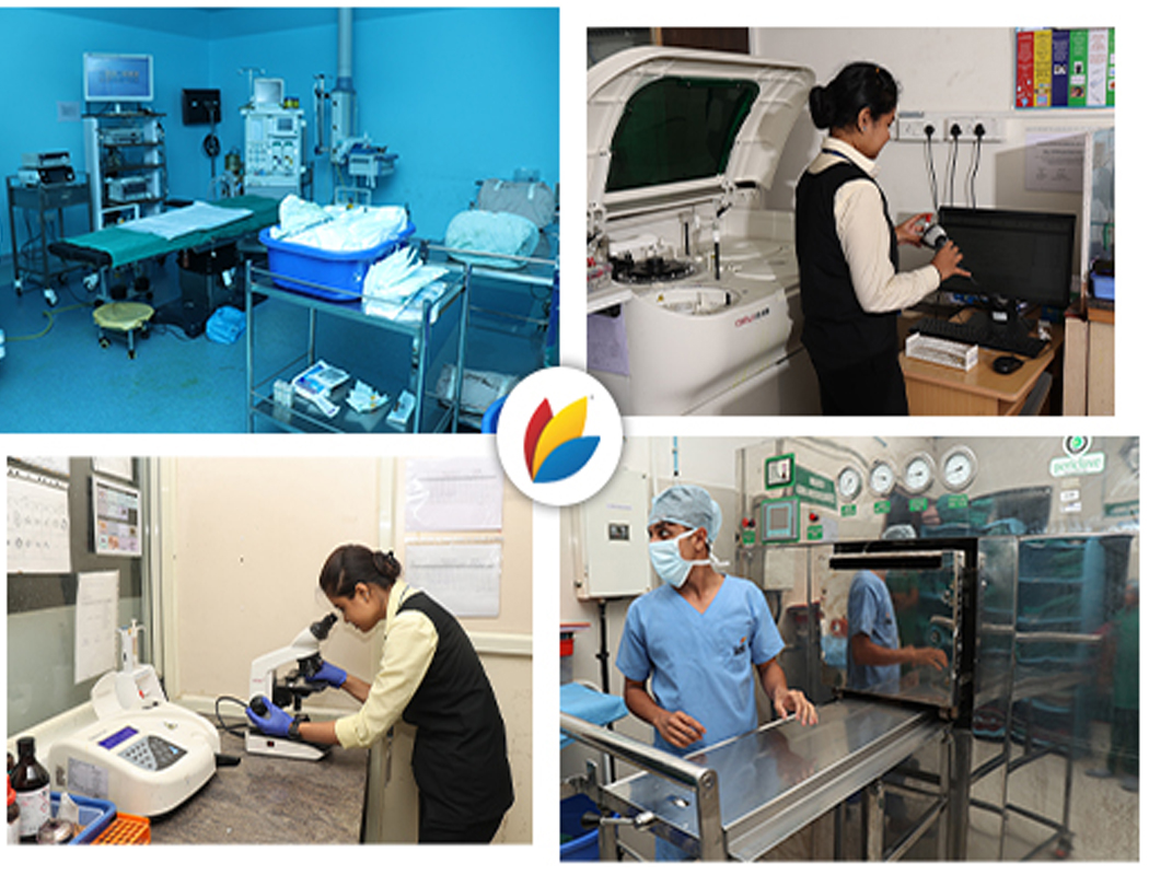 Frequently Asked Questions